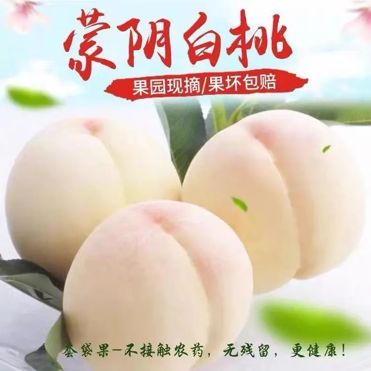 正宗山东蒙阴奶油大白桃白玉桃脆甜毛桃水蜜桃新鲜应季罕见水果