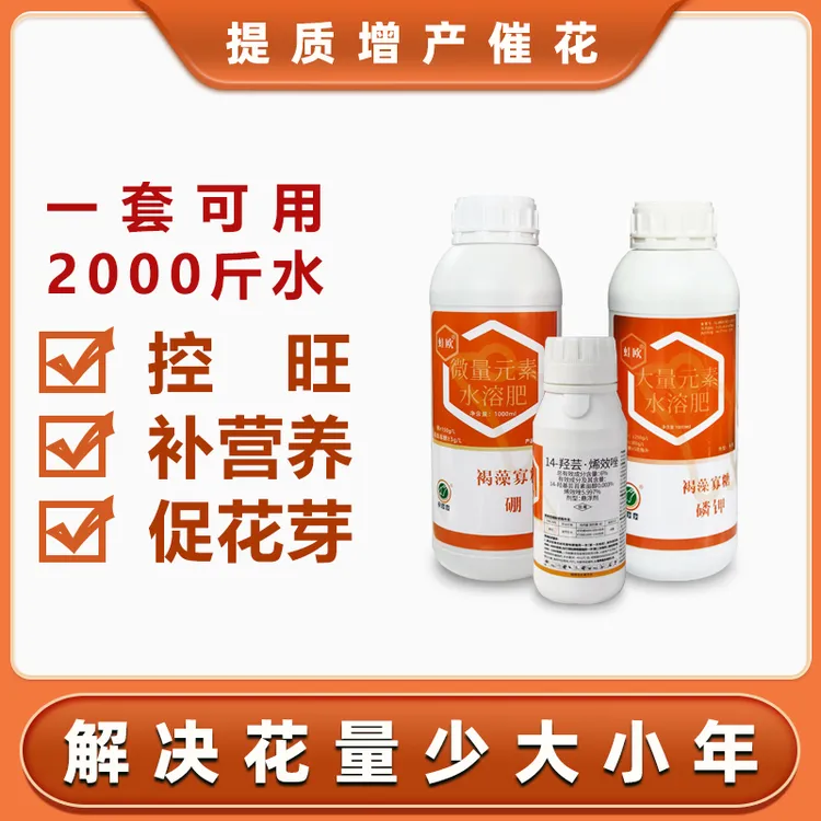 柑橘花芽分化促花芽分化控旺控稍增产