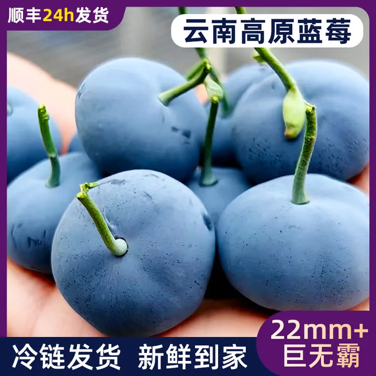 【新鲜直达】云南花香大蓝莓带绿杆孕妇宝宝新鲜现摘现发应季水果