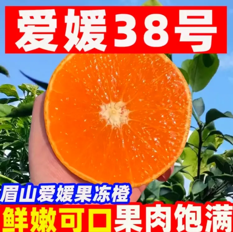  四川眉山爱媛38号果冻橙手剥橙应季头茬新鲜水果