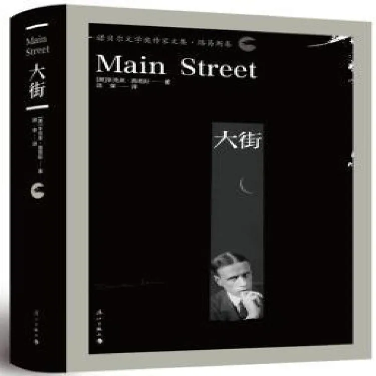 正版 大街 (美)辛克莱·路易斯著 9787540780388 
