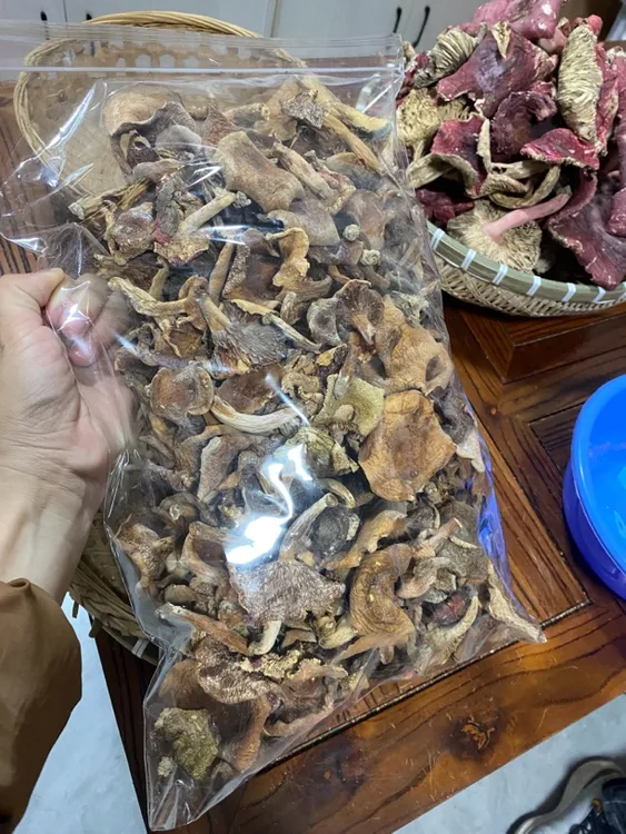 宁化本地烟折老干货炒辣椒