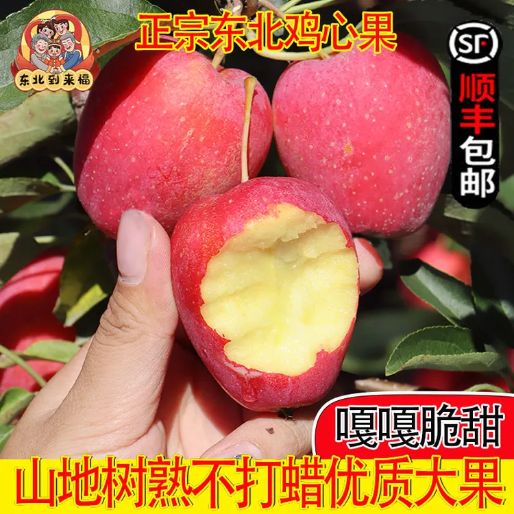 东北鸡心果山地小苹果锦绣海棠果新鲜水果应季现摘现发沙果特产