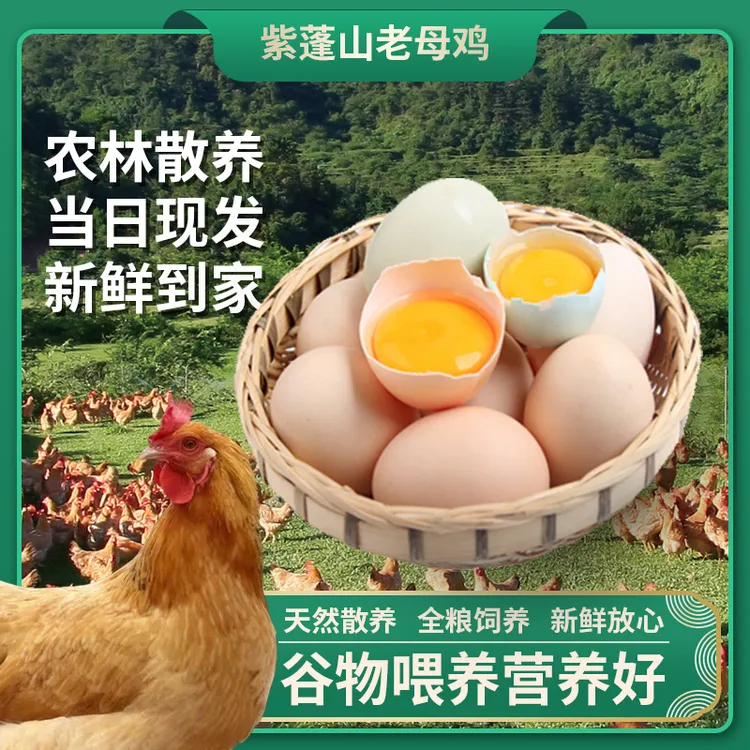 【紫蓬山】土鸡蛋农家散养新鲜鸡蛋正宗新鲜土鸡蛋