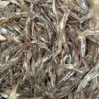 大湖河虾草虾 新鲜速冻发货 煲汤爆炒盐水虾 营养美味