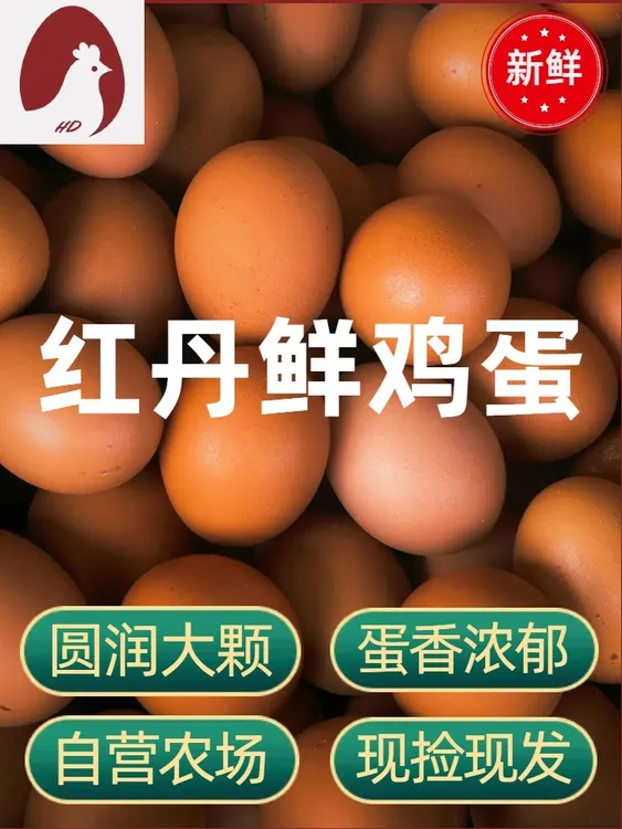 新鲜农家优质红壳鸡蛋无催产无抗现捡现发健身家庭秋冬专享