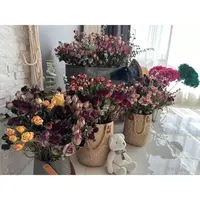 【繁花】原创干花、适合居家养的长花期花/神仙干花