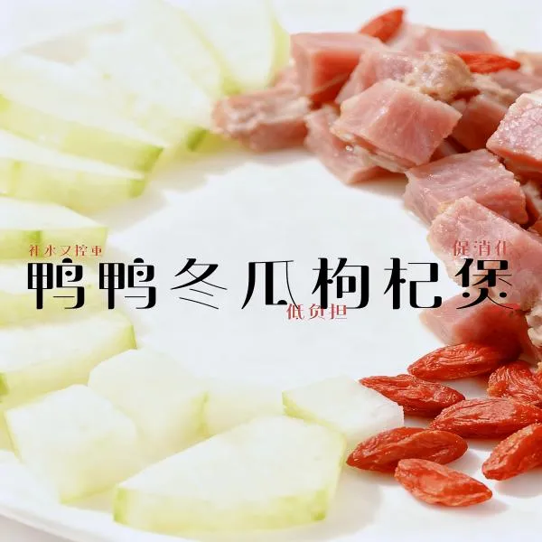 冬瓜鸭肉枸杞煲狗狗专用食品狗狗鲜食宠物鲜食小狗饭鲜食狗粮餐包