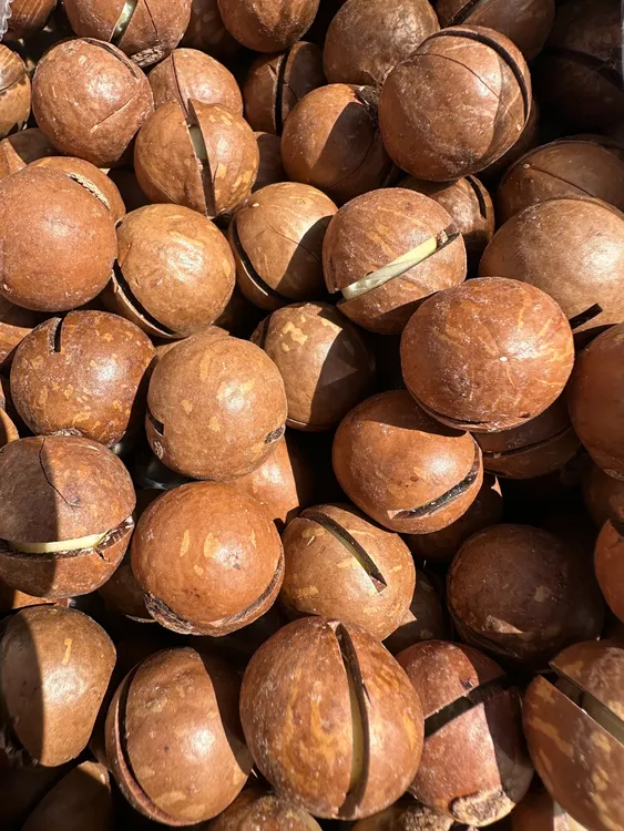 新货夏威夷果坚果500g装袋子夏果散装年货干果零食