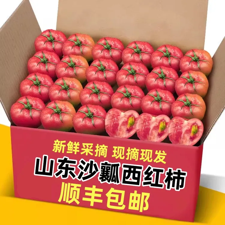 【顺丰包邮】山东沙瓤西红柿当季新鲜水果产地直发酸甜多汁小番茄