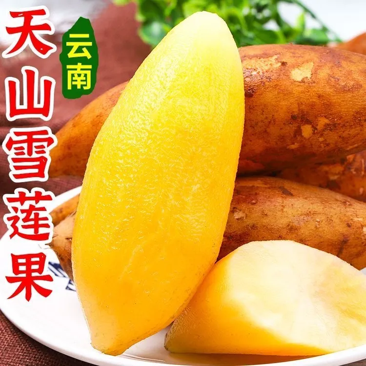 【低糖】云南天山雪莲果清甜脆爽多汁黄心新鲜应季水果现挖3-9斤