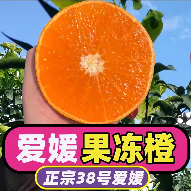 【爱媛果冻橙】四川精品爱媛果冻橙38号现摘现发爆汁新鲜孕妇水果