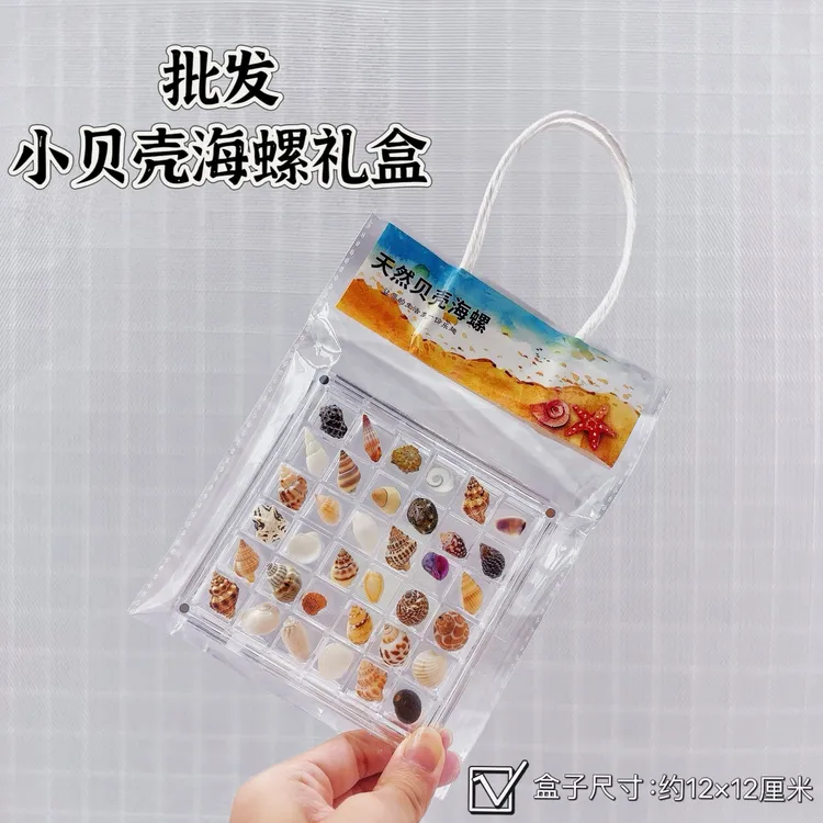 天然迷你小海螺贝壳海星标本用于收纳盒材料及海边礼物diy