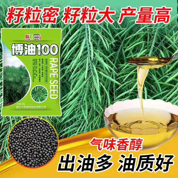一代杂交高品质油菜籽种出油多博油100-90g/袋