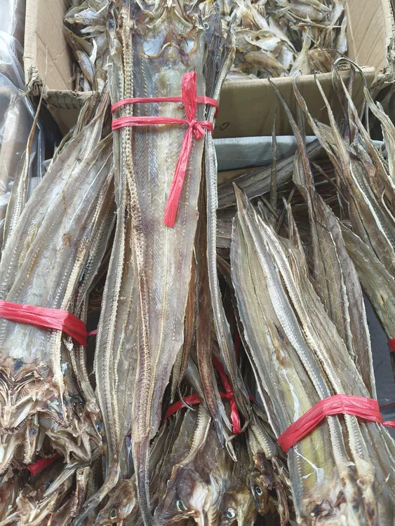 汕尾甲子港 鳗鱼干 菜豆麻