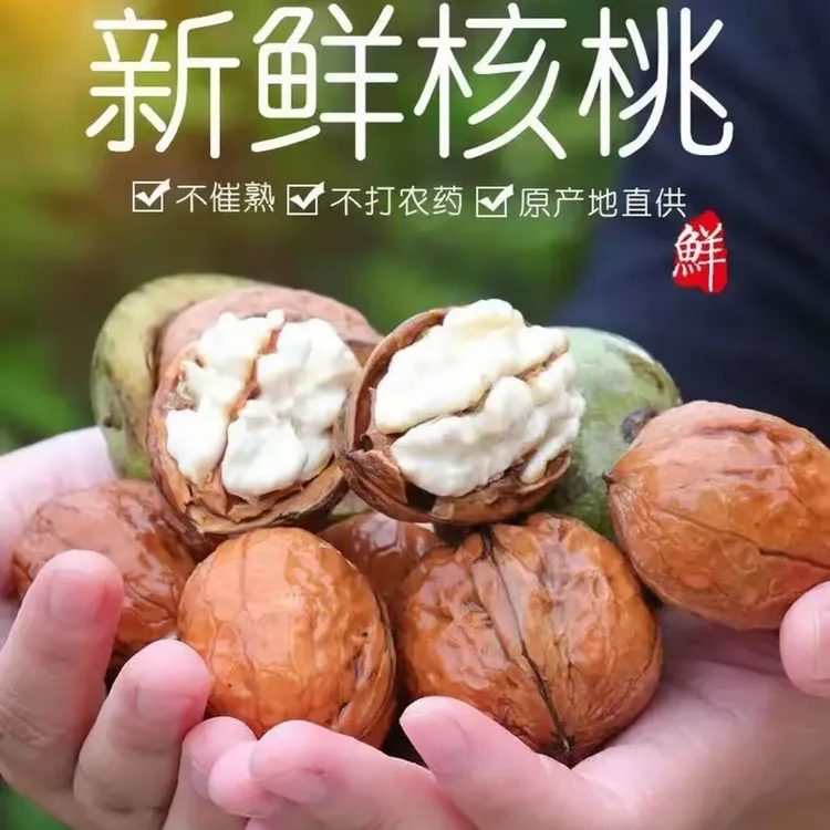 正宗大凉山新鲜去青皮湿核桃老树核桃孕妇适用