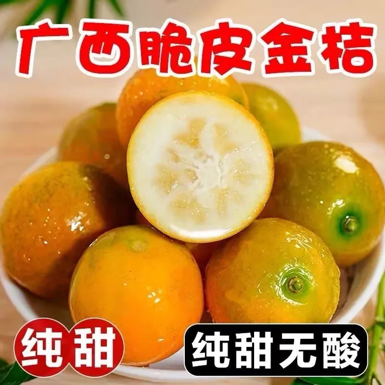 广西脆皮金桔脆蜜滑皮金桔子新鲜现摘当季水果多汁纯甜无酸带皮吃