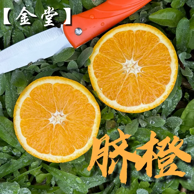 【建康啊】金堂脐橙清甜多汁现摘现发农户自种心想事橙
