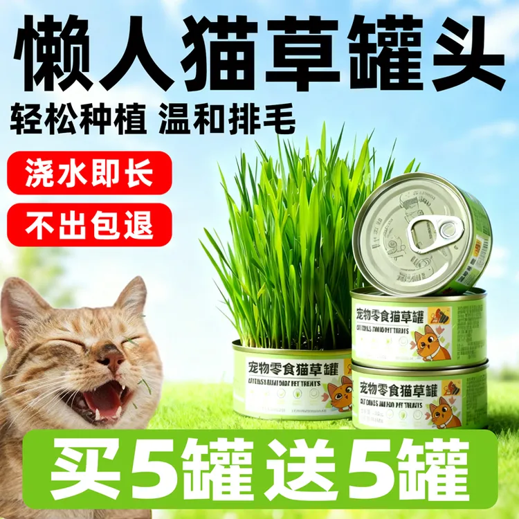 猫草种植猫草盆栽小麦水培懒人猫草罐头毛球片化毛草零食猫咪用品商品图