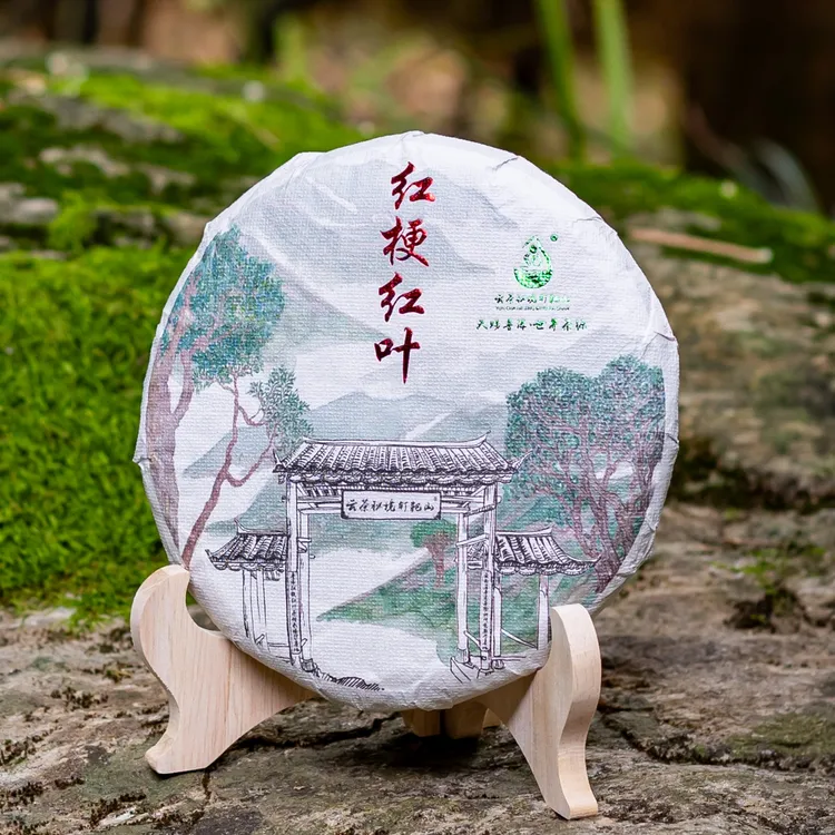 云茶秘境 钉耙山【红梗红叶】古树茶 2025年