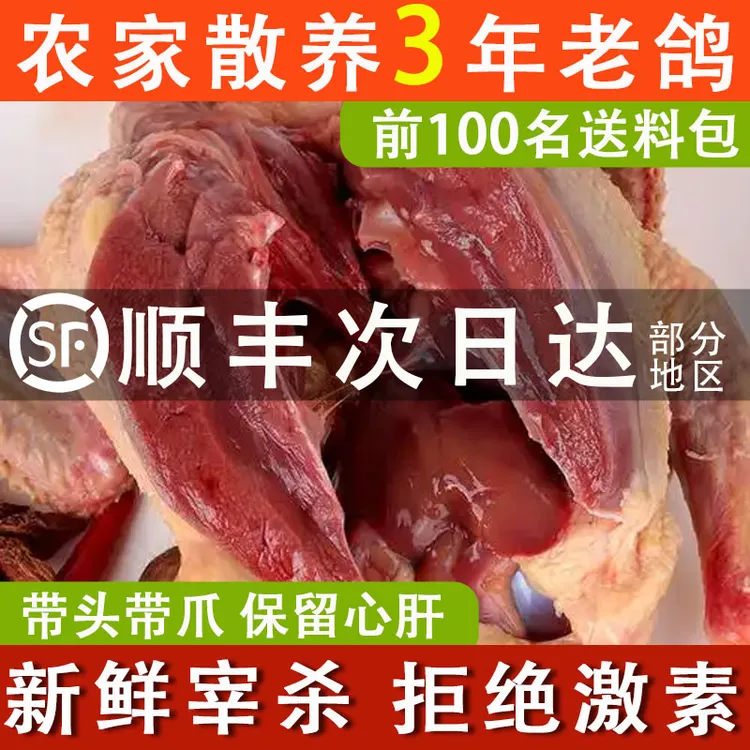 农家散养老鸽子肉乳鸽土鸽3年老鸽子新鲜宰杀整只煲汤滋补食材