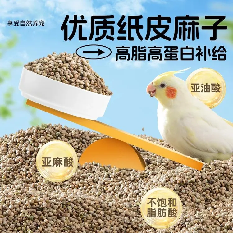 鹦鹉零食纸壳麻子大颗粒训鸟专用小太阳金太阳和尚凯克葵花玄风