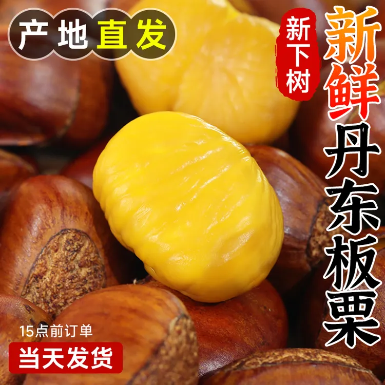 正宗丹东生板栗新鲜栗子当季新鲜水果现摘大板栗产地直发难剥皮