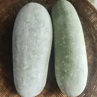 【晓夕代卖】农家新鲜青小冬瓜农家自种