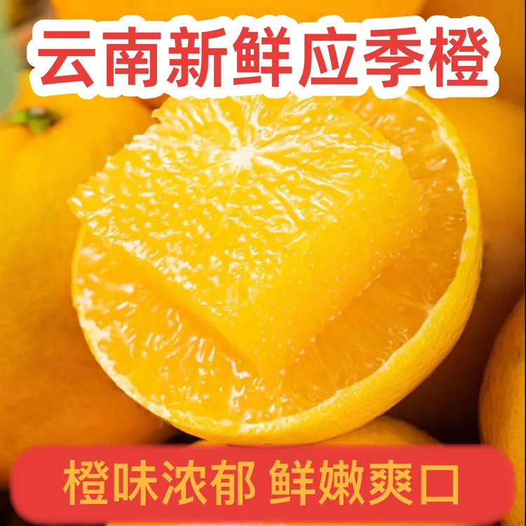 【现摘现发】5/10斤褚之乡橙哀牢山冰糖橙新鲜应季水果皮薄多汁清甜