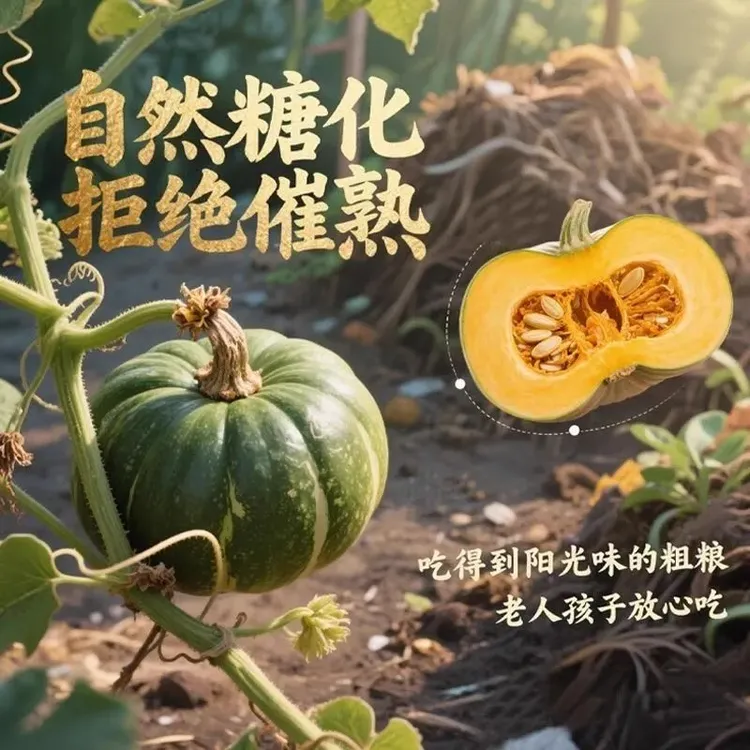 贝贝南瓜下单立减包邮发货正宗板栗味贝贝南瓜