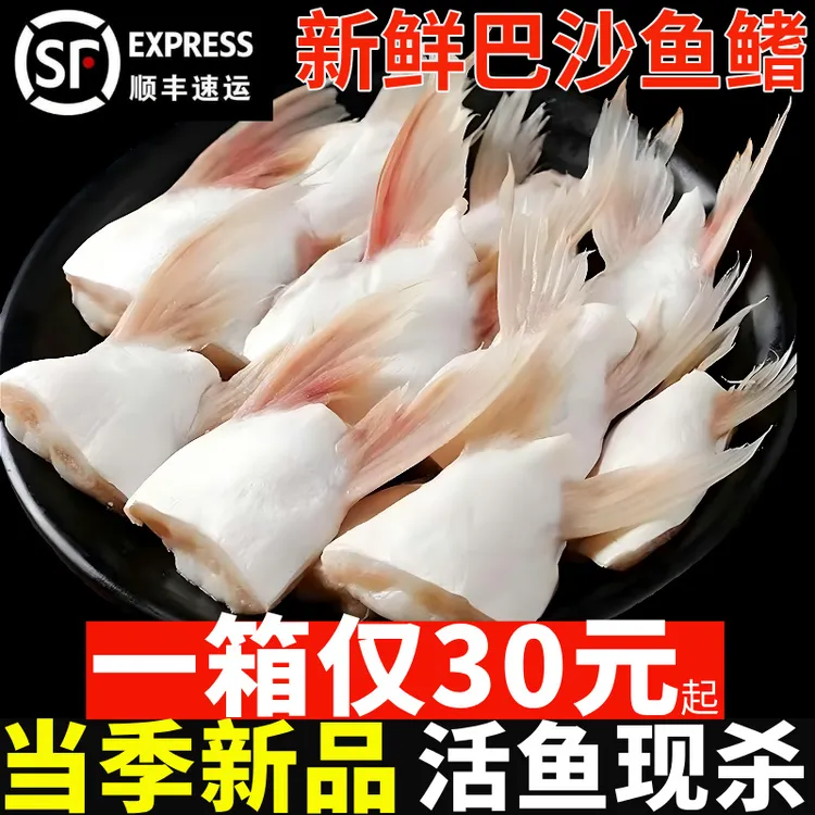 新鲜急冻巴沙鱼鳍鱼肥油鲜活鱼鳍翅鮰鱼鳍鱼腩安康鱼巴沙鱼腩商用