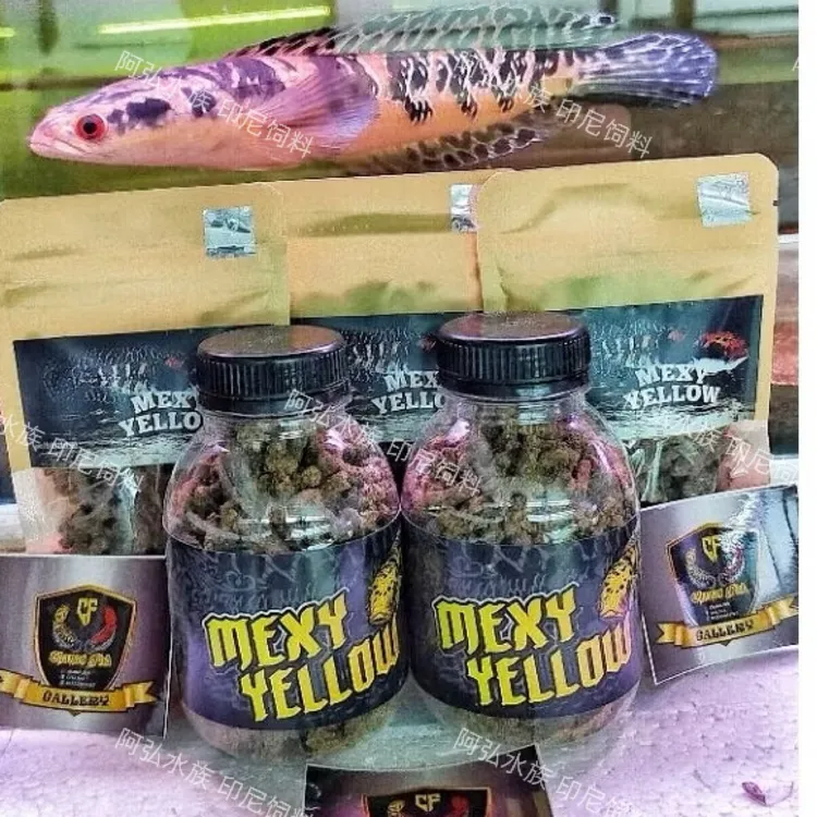 印尼魔神饲料 增色爆花促进状态 红帝王黄魔神皇室雷龙鱼蜡染饲料