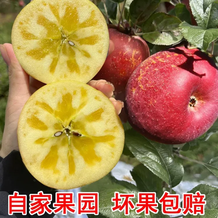 ［当季新鲜］云南昭通高原冰糖心丑苹果原产地直发，5斤9斤包邮