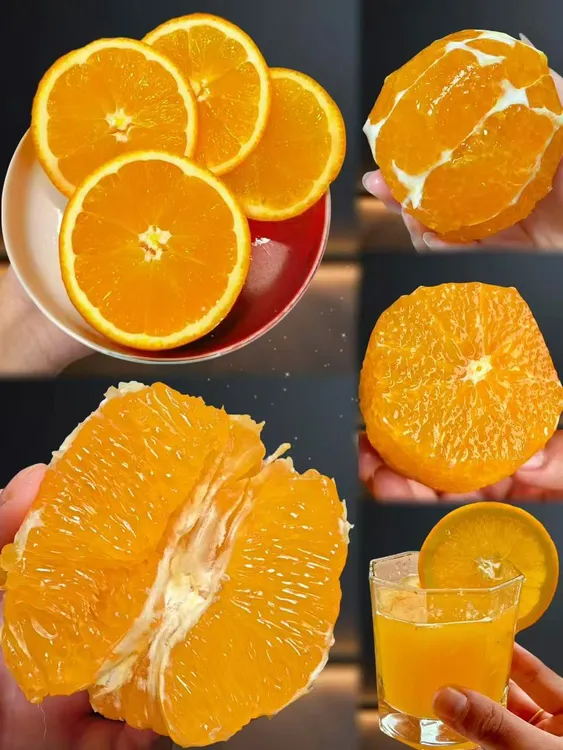 自家果园采摘发货正宗赣南脐橙