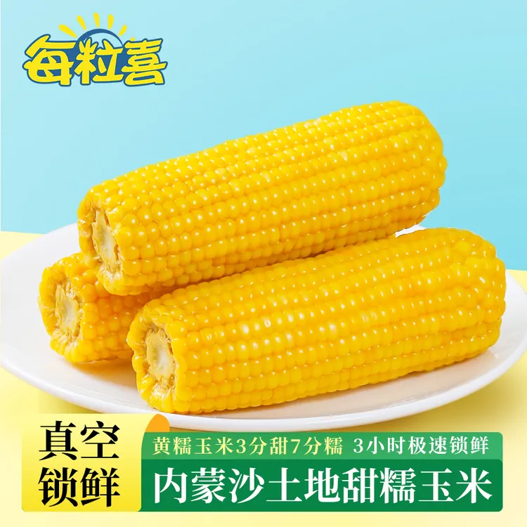 【源头工厂直供】内蒙沙土地玉米非转基因甜糯玉米代餐粗粮