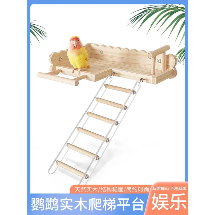 鹦鹉实木平台攀爬楼梯栖息平台站台鸟笼装饰小宠玩耍玩闹宠物用品
