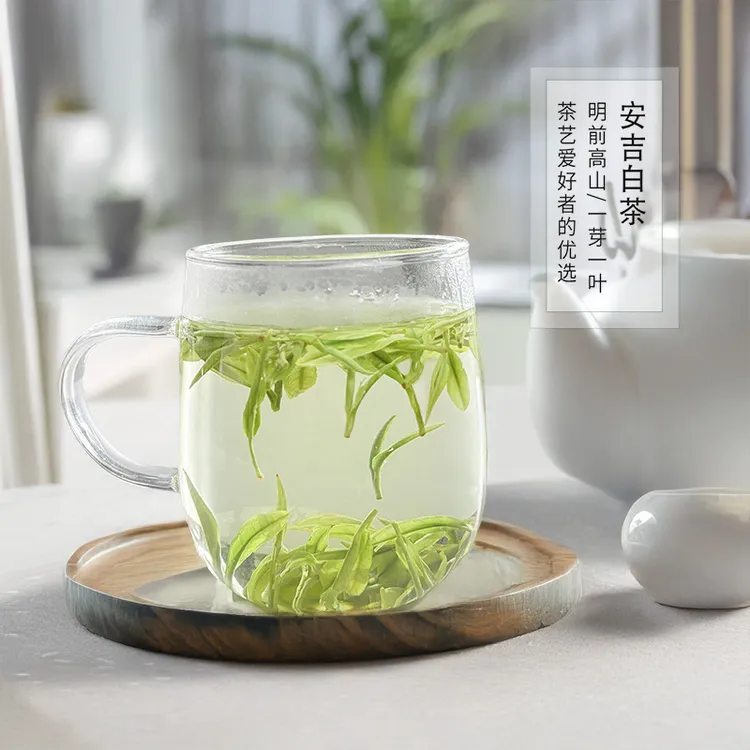 老母鸡汤A99开园头采2025安吉新茶白茶高山特产兰香味白茶鲜绿茶 