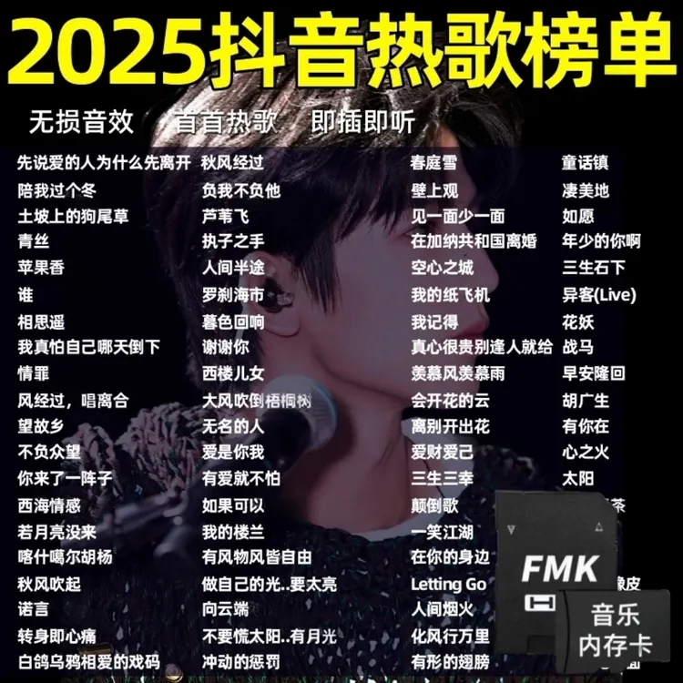 汽车载SD内存卡2025抖音热歌榜柏林之声无损音质车用网红音乐TF卡