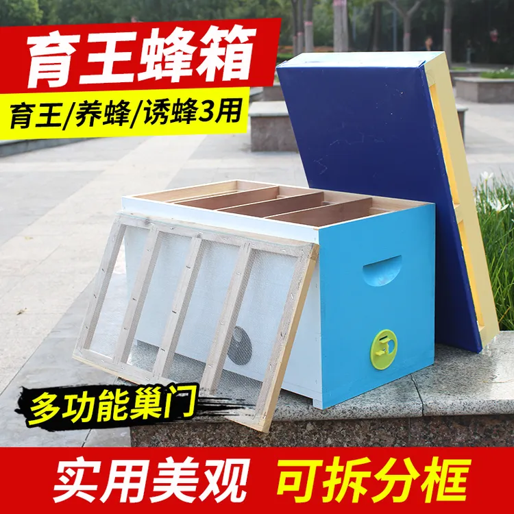 彩色育王交尾箱四区育王蜂箱中蜂意蜂养蜂箱果蔬授粉箱成品发货新
