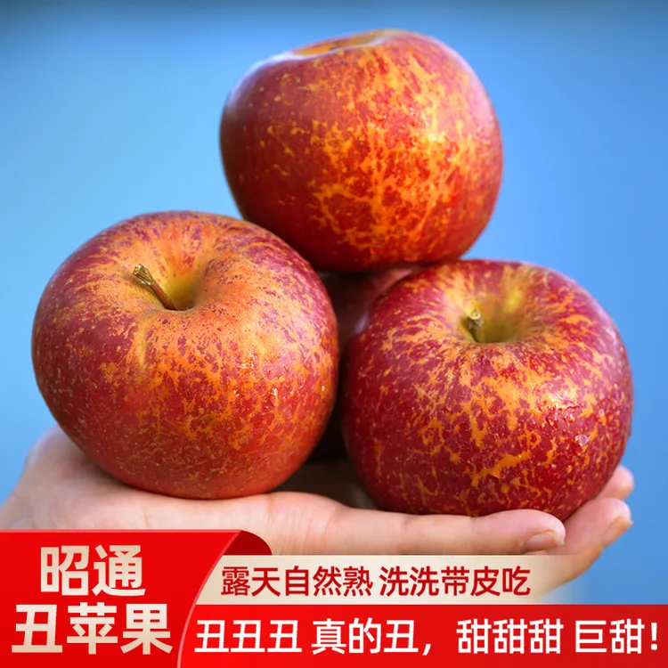 【谦农专属】云南昭通冰糖心丑苹果红富士脆甜多汁现摘现发5斤装