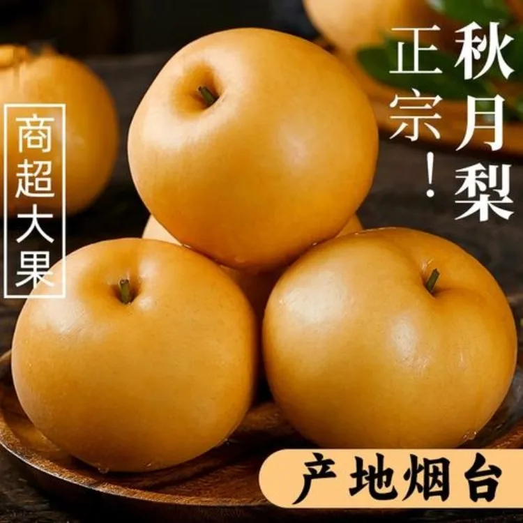 正宗莱阳秋月梨新鲜5斤水果应季黄皮梨中秋礼盒3斤冰糖雪梨