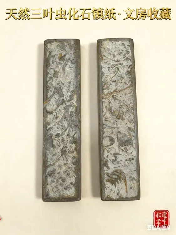 天然燕子石三叶虫化石镇纸  压纸防皱文玩收藏书画镇纸