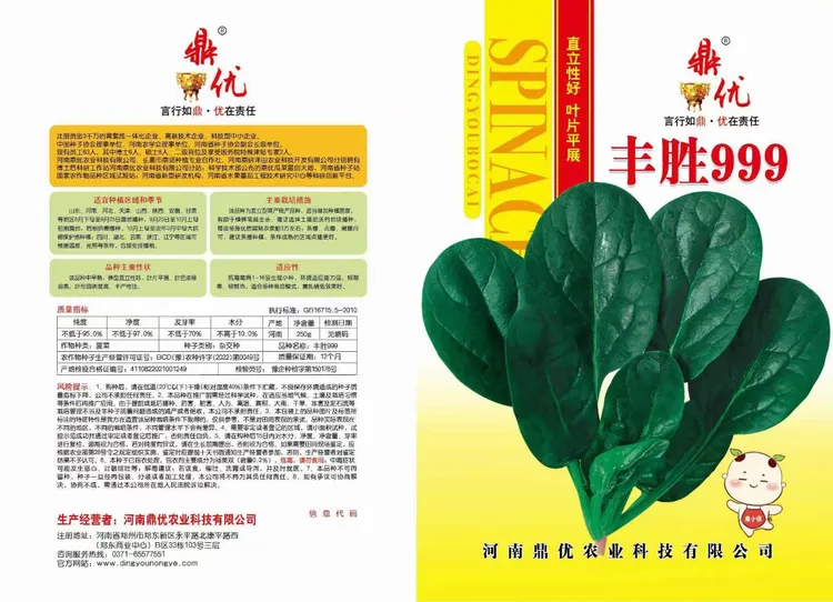 春秋越冬品种，颜色油亮，叶片平展，鹅卵叶，抗病性强，产量高