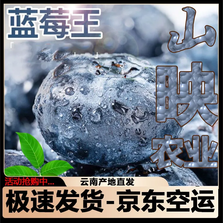 【超值蓝莓王】云南高原新鲜蓝莓基地大果孕妇当季蓝莓新鲜蓝莓批发