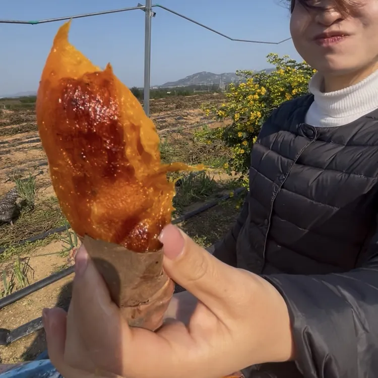 【基地直发】山东烟薯25号烤地瓜烤红薯软糯香甜蜜薯3/5斤中果小果