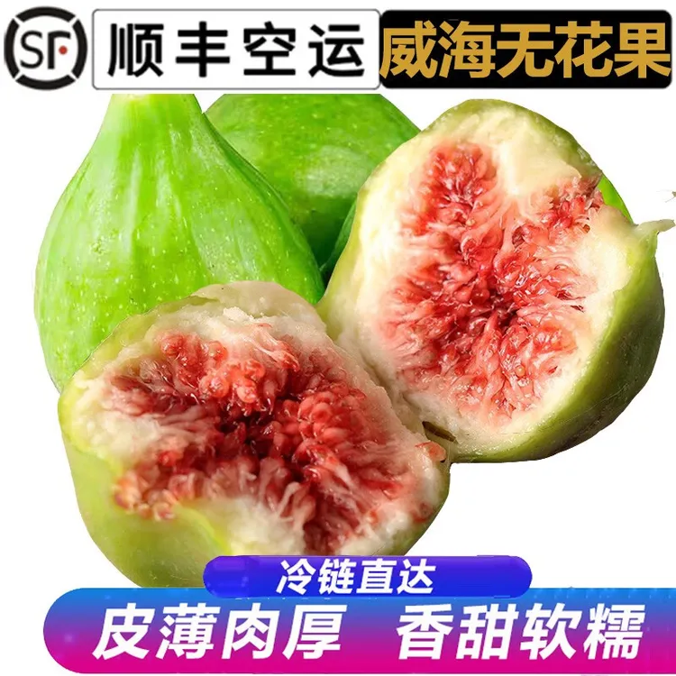 山东威海青皮无花果软糯香甜新鲜无花果水果当季鲜果皮薄无核顺丰