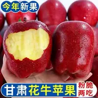 甘肃天水花牛苹果5-9斤整箱新鲜水果当季红蛇果粉果新鲜 多仓发货