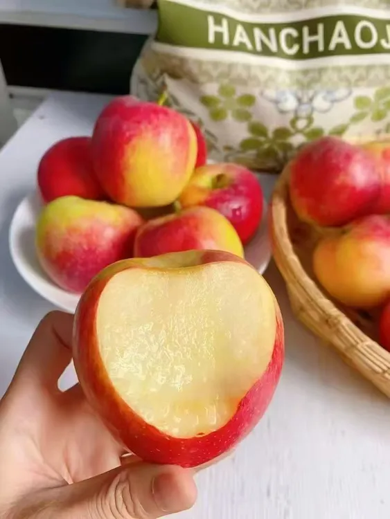 当季新鲜鲁丽小苹果脆甜多汁现摘现发应季水果
