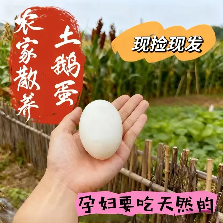 农家散养现捡新鲜土鹅蛋孕妇宝宝适用特大个中秋特价新店专属链接