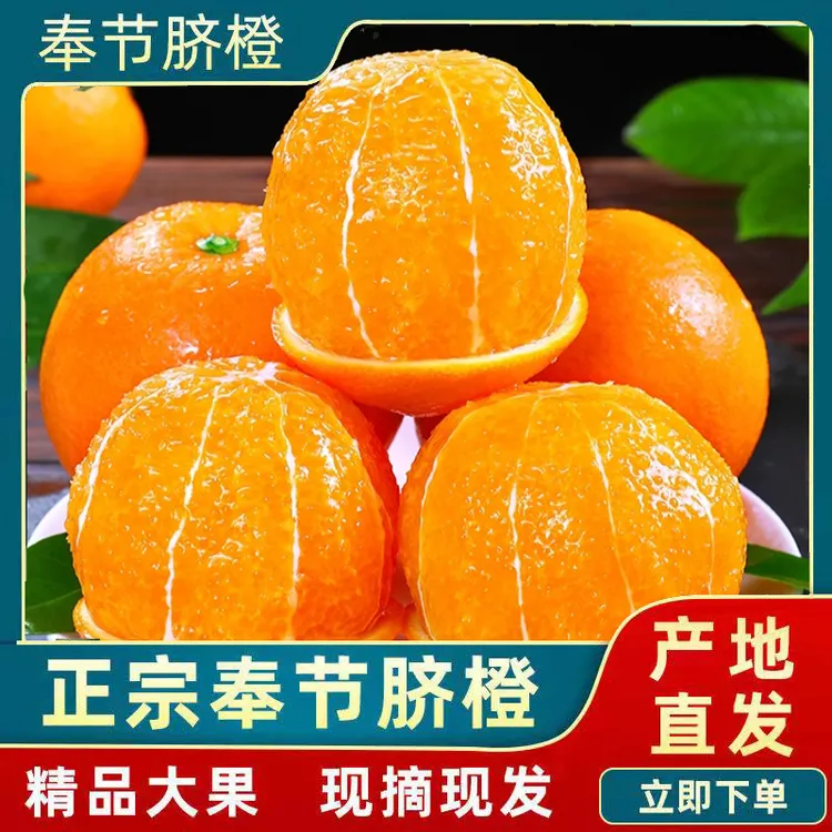奉节脐橙新鲜采摘带叶发货孕妇水果正宗重庆草堂广柑产地直发包邮